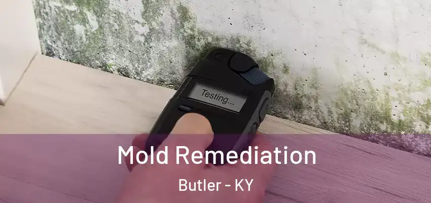 Mold Remediation Butler - KY