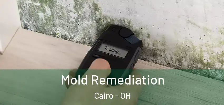 Mold Remediation Cairo - OH