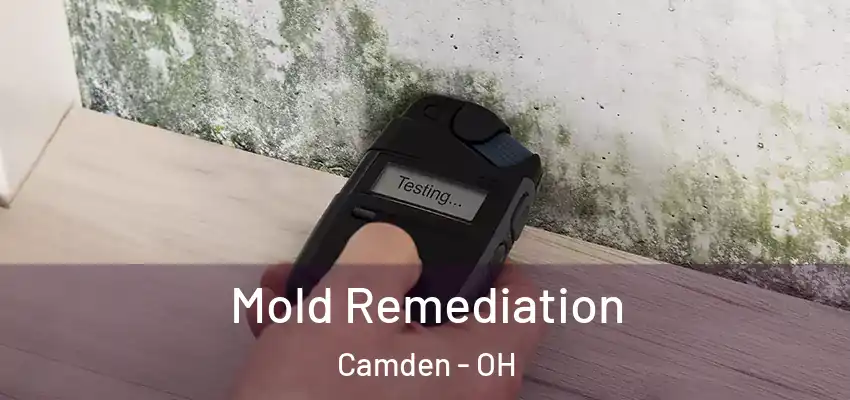  Mold Remediation Camden - OH
