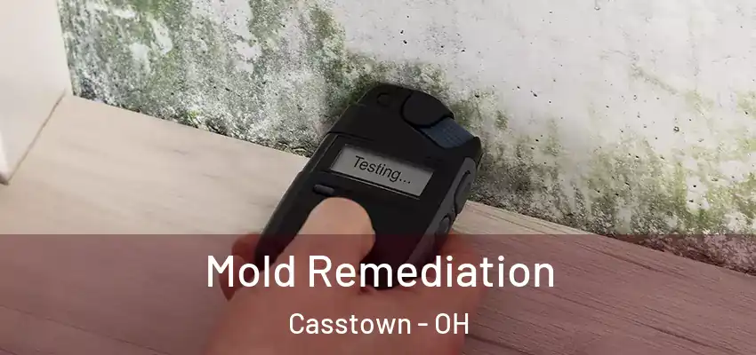 Mold Remediation Casstown - OH