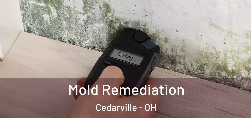 Mold Remediation Cedarville - OH