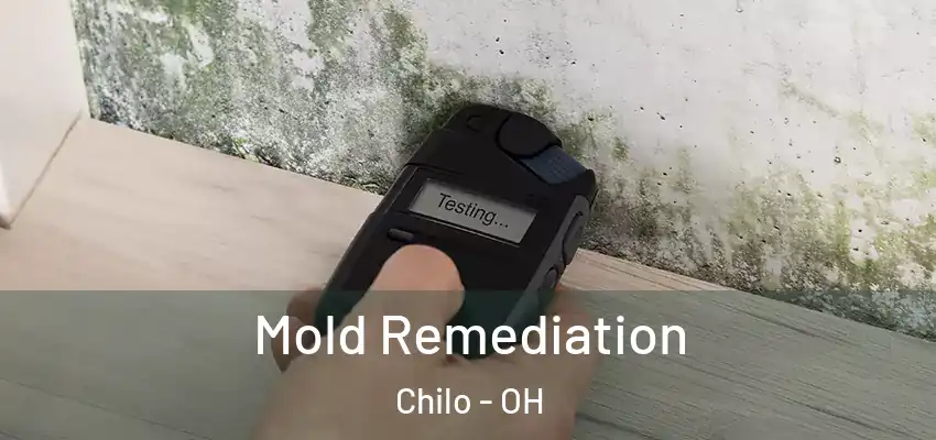  Mold Remediation Chilo - OH