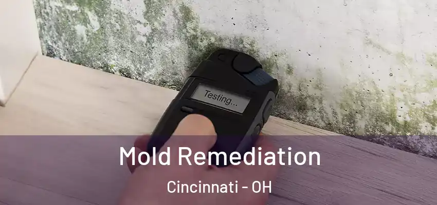  Mold Remediation Cincinnati - OH