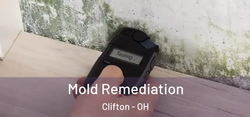  Mold Remediation Clifton - OH