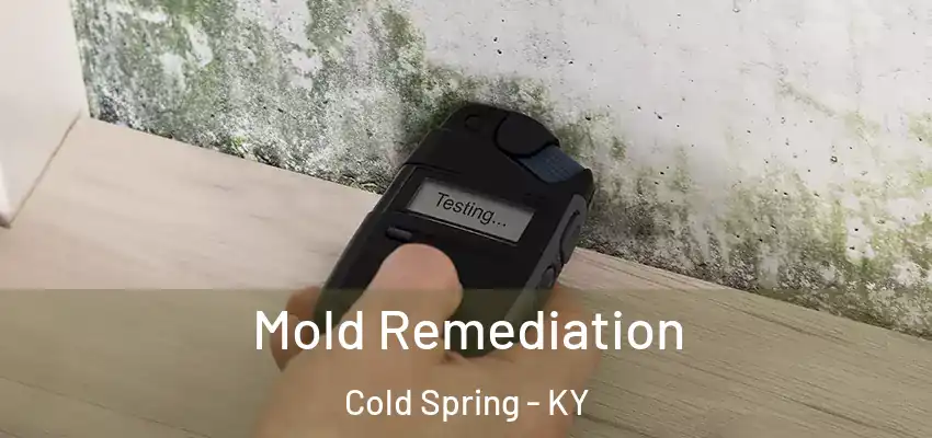 Mold Remediation Cold Spring - KY