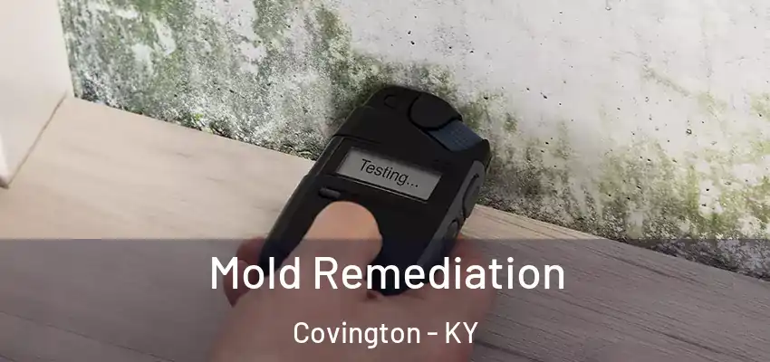 Mold Remediation Covington - KY