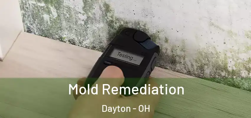 Mold Remediation Dayton - OH