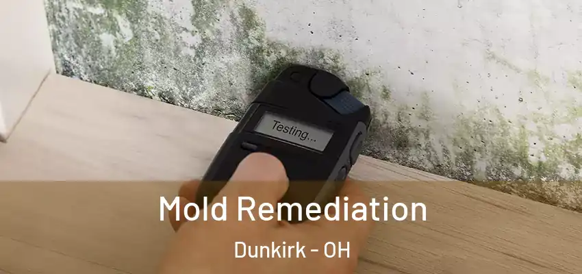 Mold Remediation Dunkirk - OH