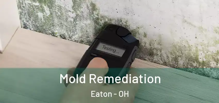 Mold Remediation Eaton - OH