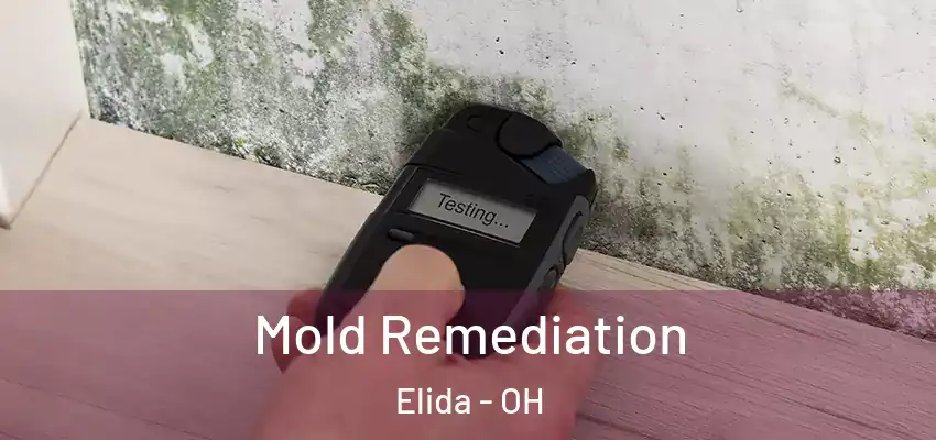 Mold Remediation Elida - OH