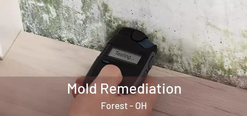 Mold Remediation Forest - OH