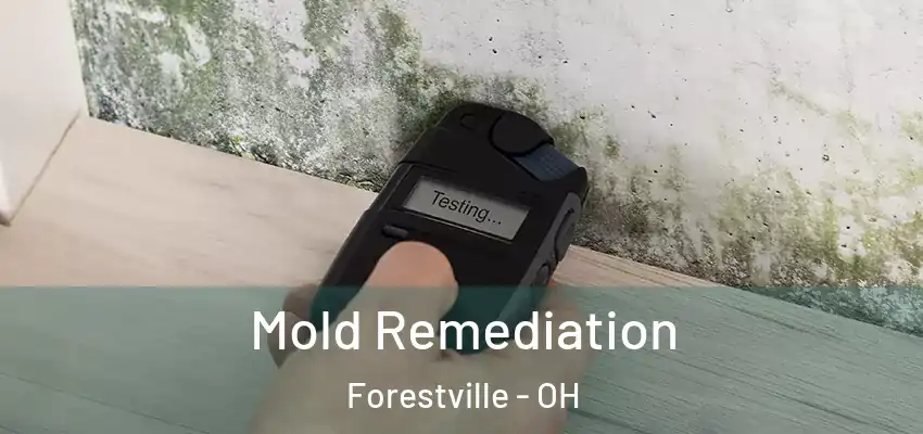  Mold Remediation Forestville - OH
