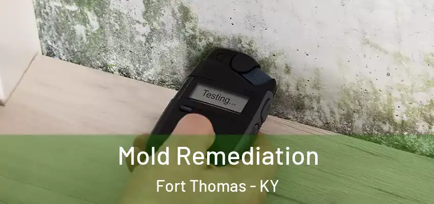  Mold Remediation Fort Thomas - KY