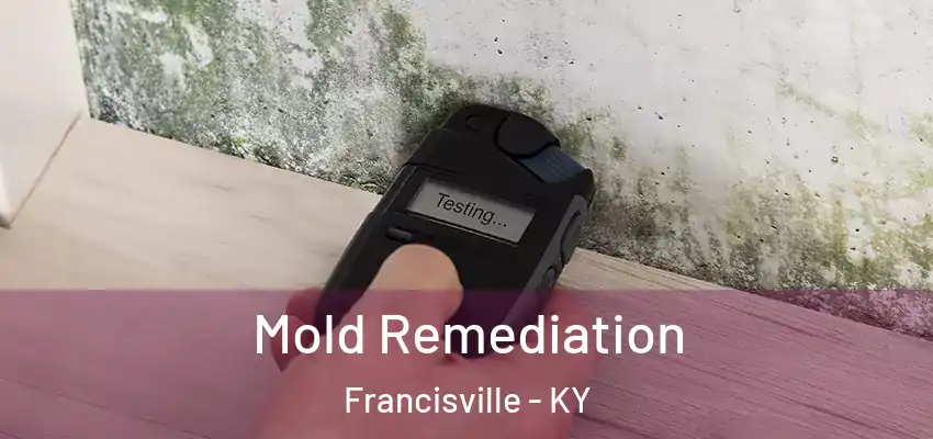 Mold Remediation Francisville - KY