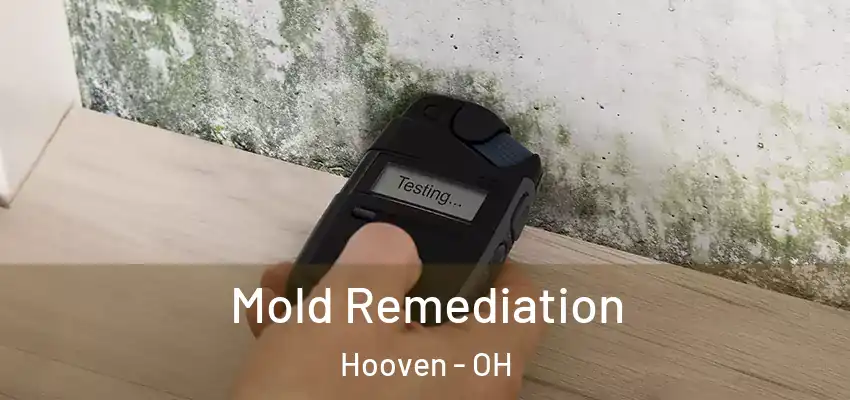 Mold Remediation Hooven - OH