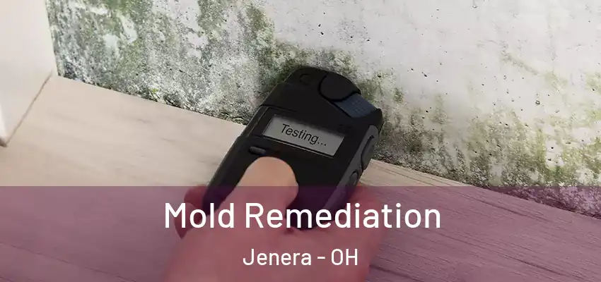 Mold Remediation Jenera - OH