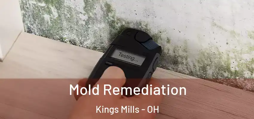  Mold Remediation Kings Mills - OH