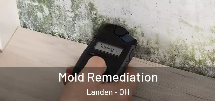 Mold Remediation Landen - OH