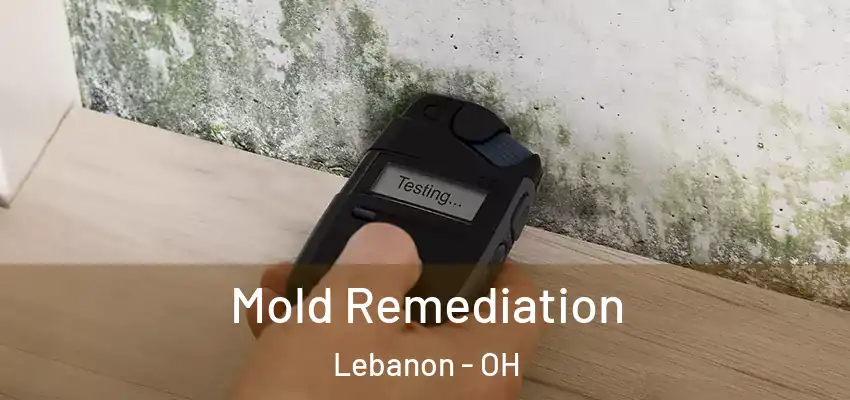 Mold Remediation Lebanon - OH