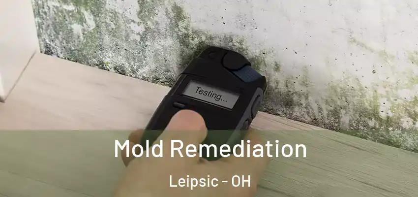 Mold Remediation Leipsic - OH