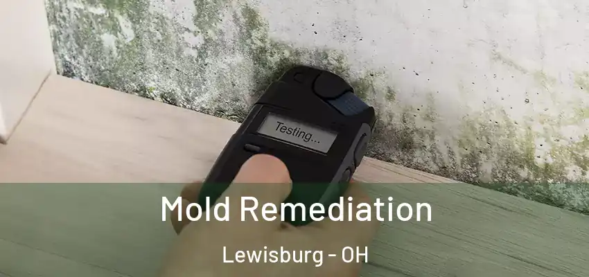  Mold Remediation Lewisburg - OH
