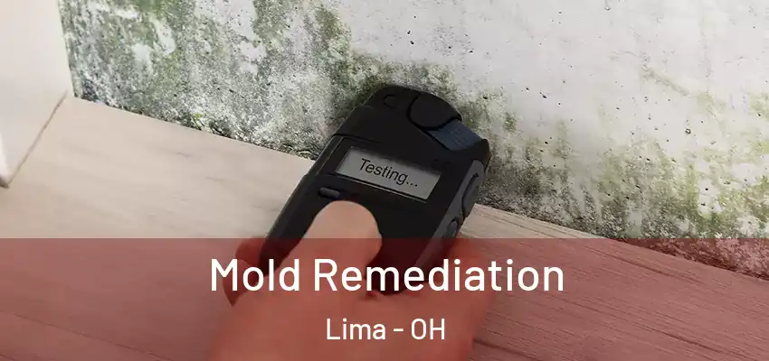 Mold Remediation Lima - OH