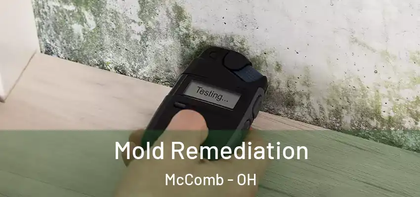 Mold Remediation McComb - OH