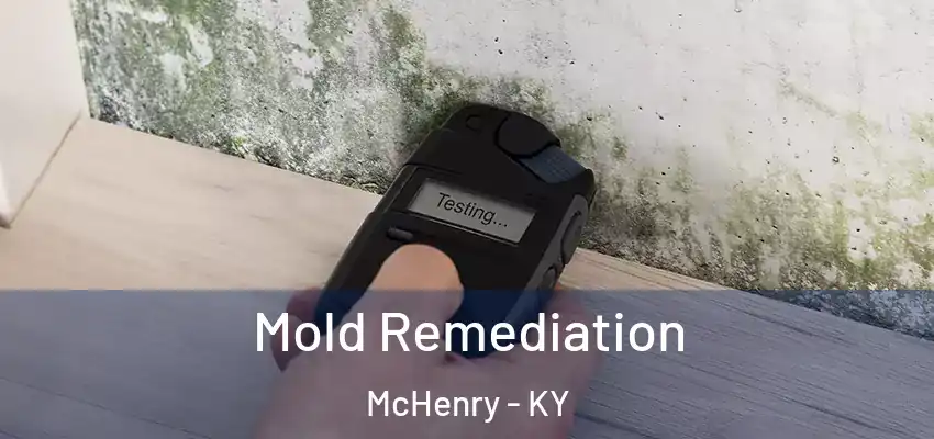 Mold Remediation McHenry - KY