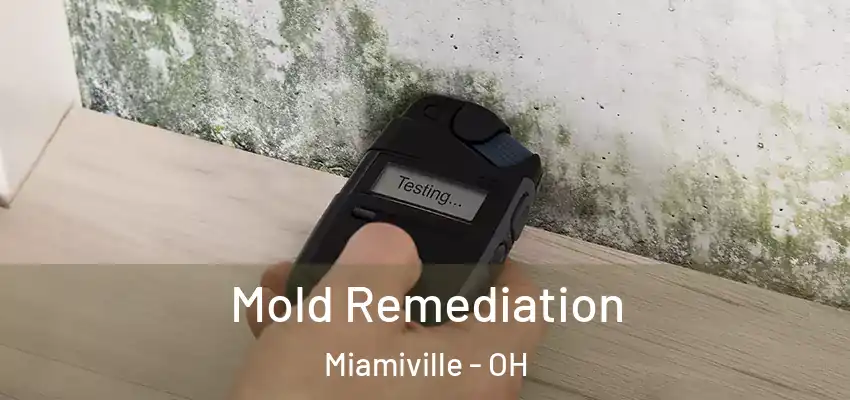 Mold Remediation Miamiville - OH
