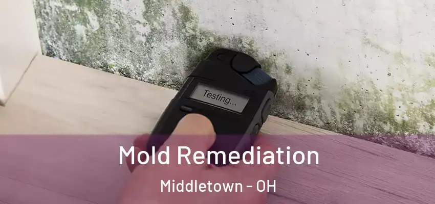  Mold Remediation Middletown - OH