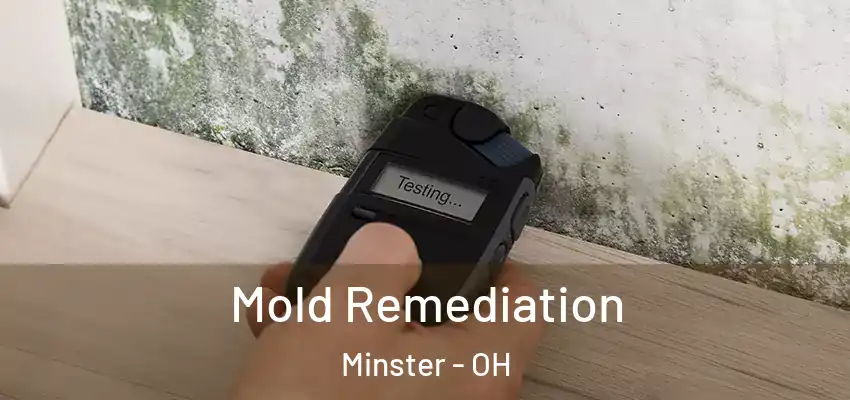 Mold Remediation Minster - OH