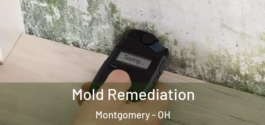 Mold Remediation Montgomery - OH