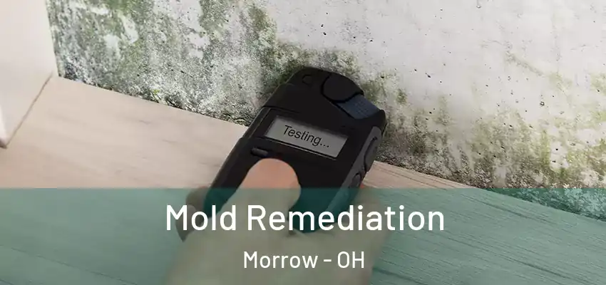 Mold Remediation Morrow - OH