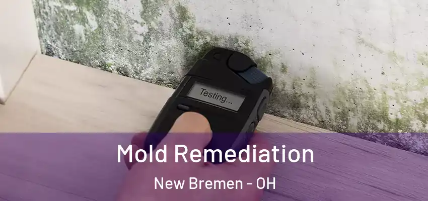 Mold Remediation New Bremen - OH