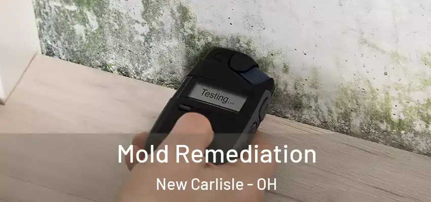 Mold Remediation New Carlisle - OH