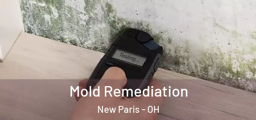Mold Remediation New Paris - OH