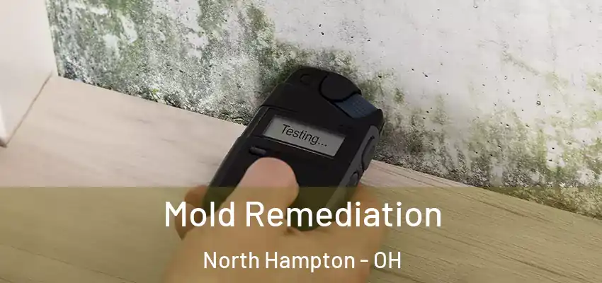  Mold Remediation North Hampton - OH