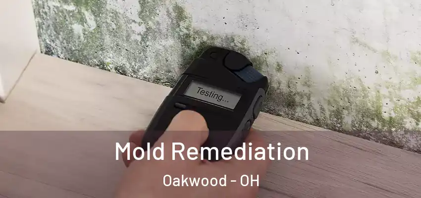  Mold Remediation Oakwood - OH