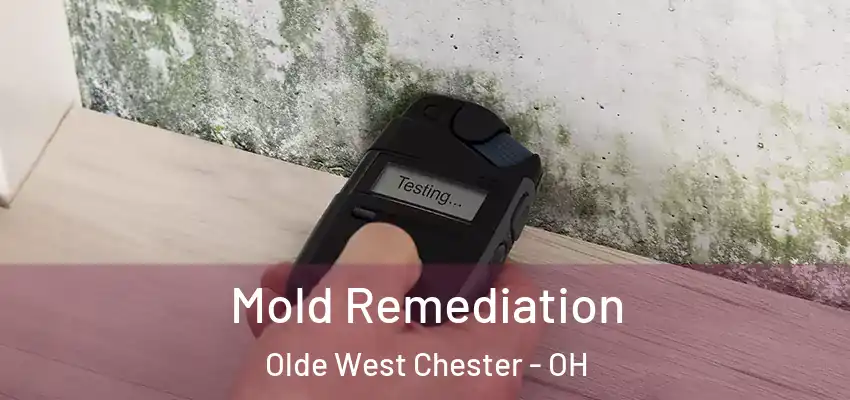  Mold Remediation Olde West Chester - OH