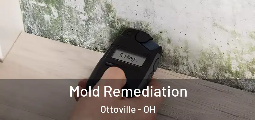 Mold Remediation Ottoville - OH