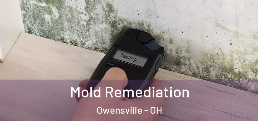 Mold Remediation Owensville - OH