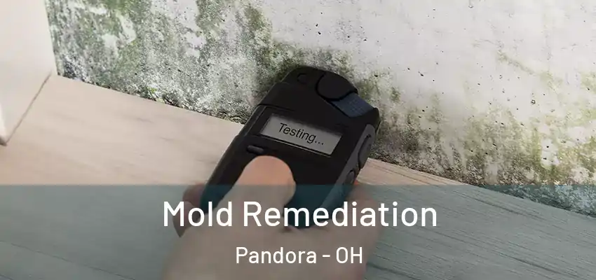 Mold Remediation Pandora - OH