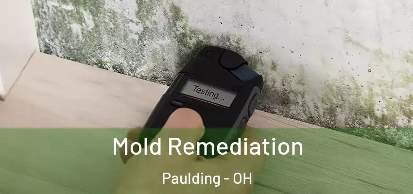 Mold Remediation Paulding - OH