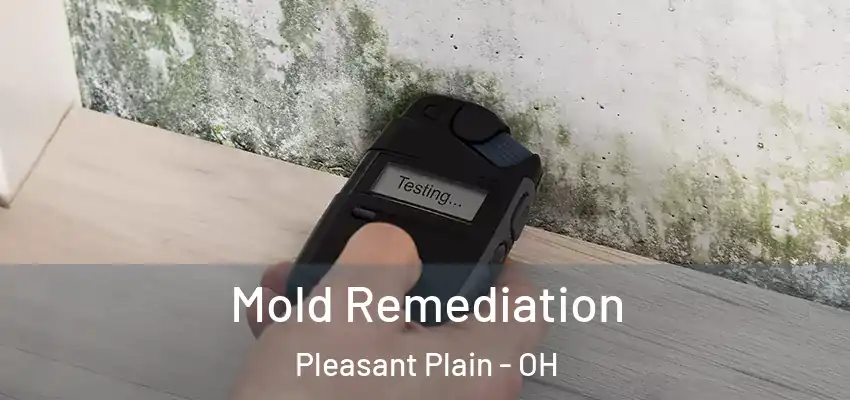 Mold Remediation Pleasant Plain - OH