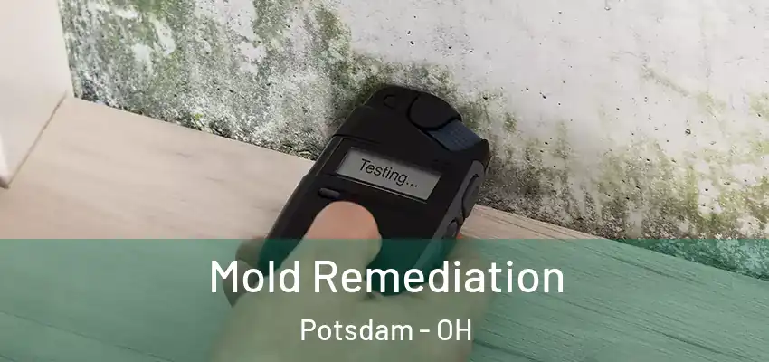 Mold Remediation Potsdam - OH