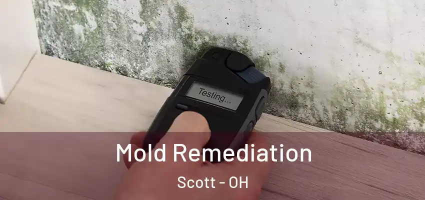  Mold Remediation Scott - OH
