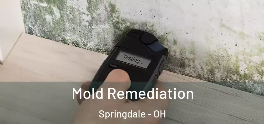 Mold Remediation Springdale - OH