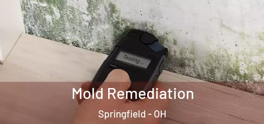 Mold Remediation Springfield - OH