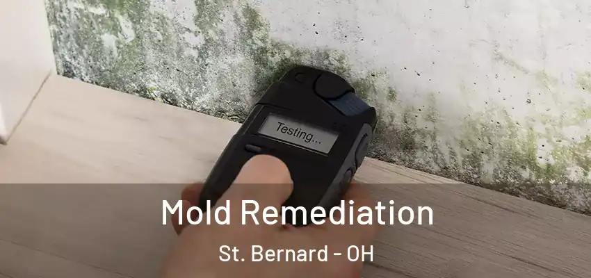 Mold Remediation St. Bernard - OH