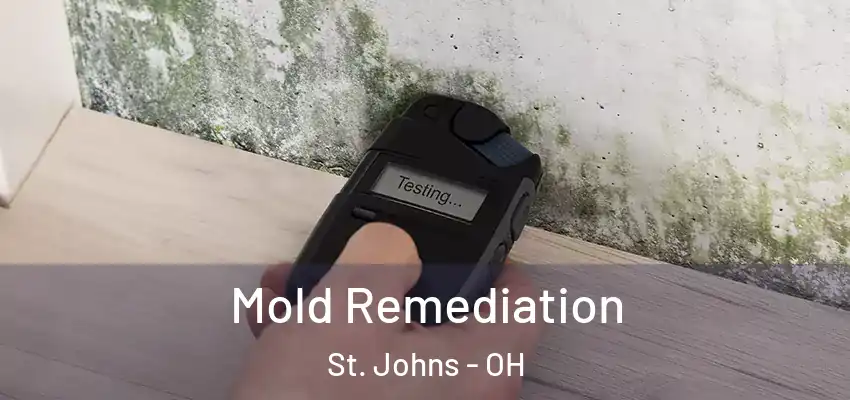 Mold Remediation St. Johns - OH
